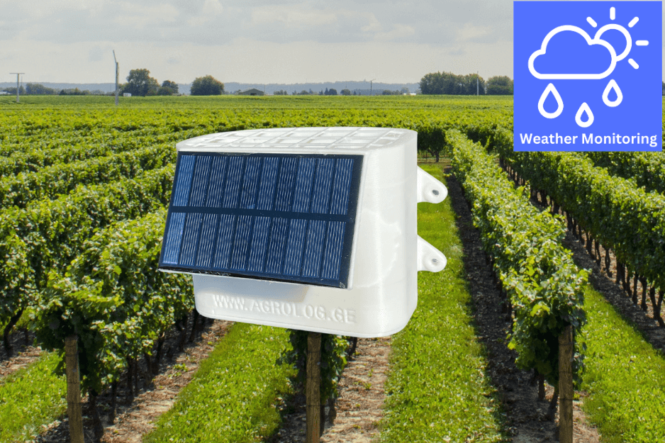 Weather Monitoring Station